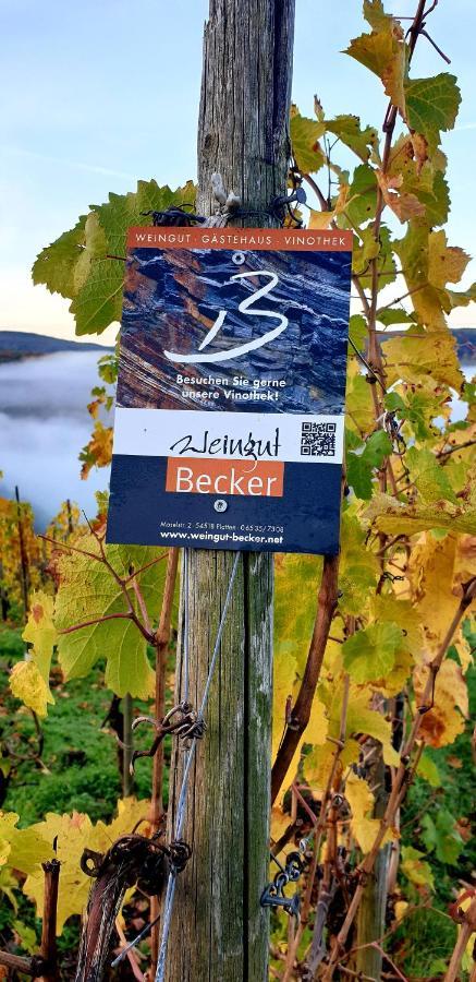 Weingut U. Gaestehaus Becker Platten エクステリア 写真